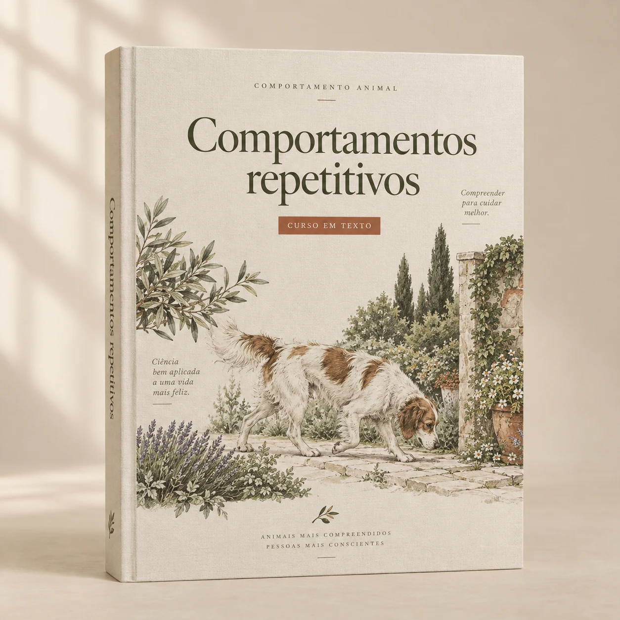 Comportamentos repetitivos